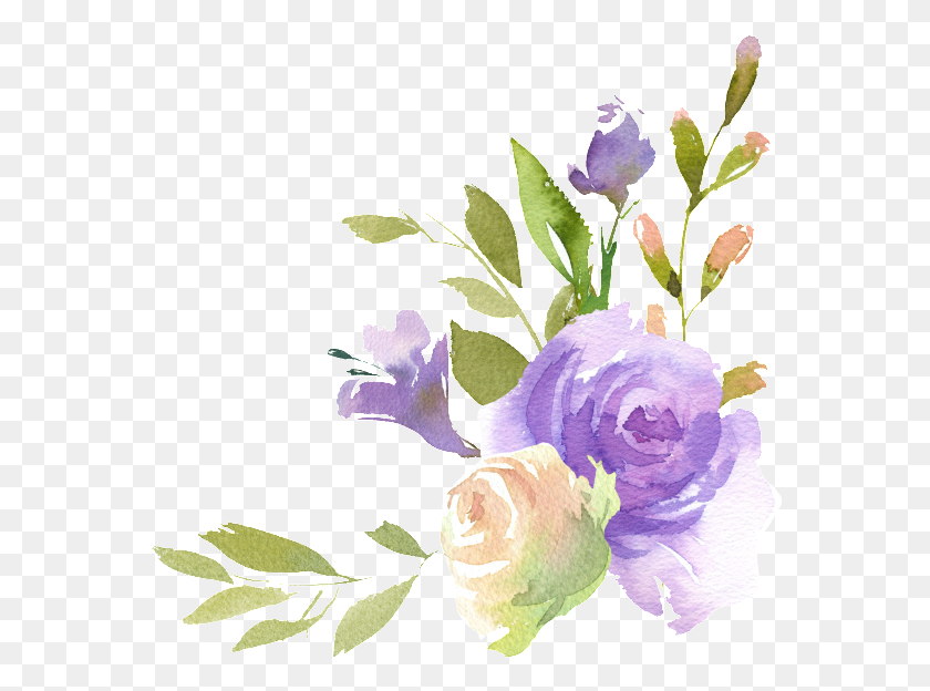 574x564 Hand Painted Design Letter Paper Border Pattern Floribunda, Plant, Flower, Blossom HD PNG Download