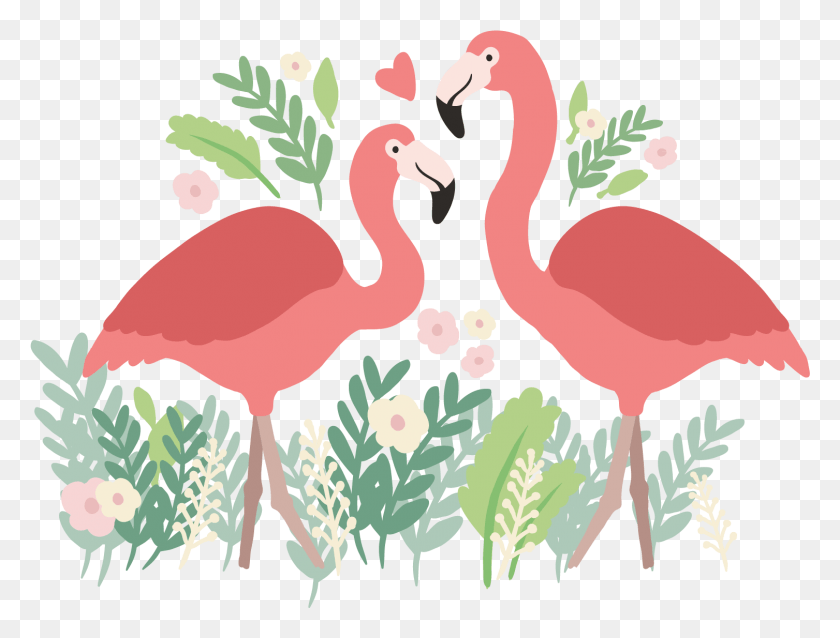 1507x1118 Flamencos Pintados A Mano En El Amor De Fondo, Animal, Pájaro, Flamingo Hd Png