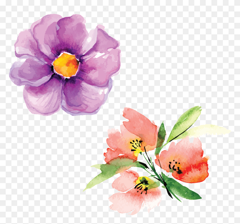 991x919 Hand Painted Flowers Beautiful Petals Illustration Watercolor Paint, Plant, Flower, Blossom HD PNG Download