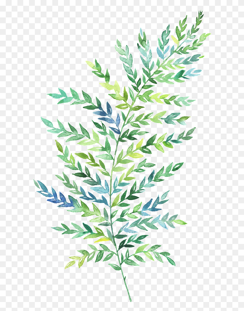 616x1011 Ручная Роспись Зеленый Лист, Лист, Растение, Цветок Hd Png Скачать