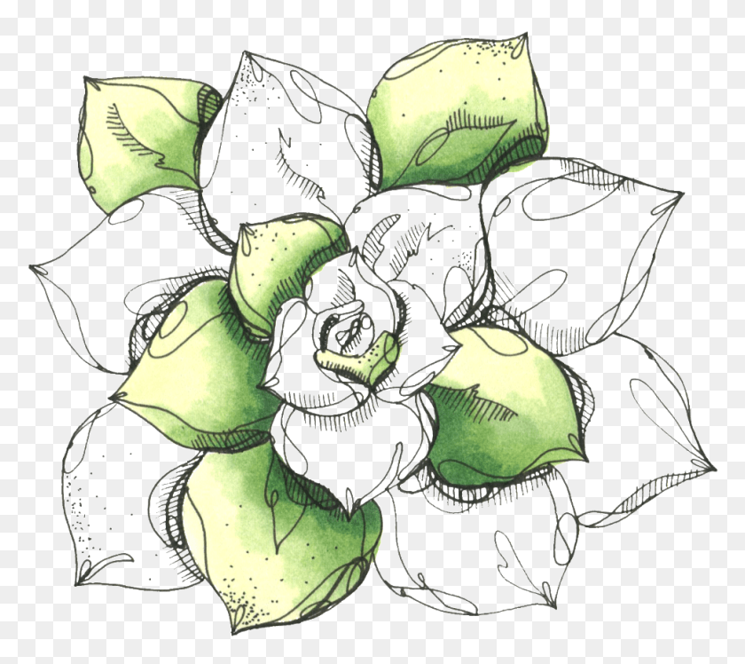 969x855 Hand Painted Lotus Flower, Plant, Food, Produce HD PNG Download
