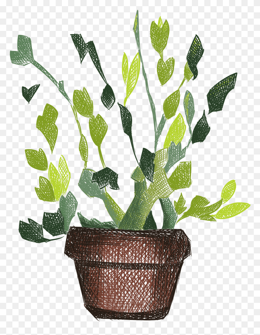 1102x1448 Hand Painted Plants Flowers Fresh Potted And Psd Houseplant, Plant, Pot, Leaf HD PNG Download