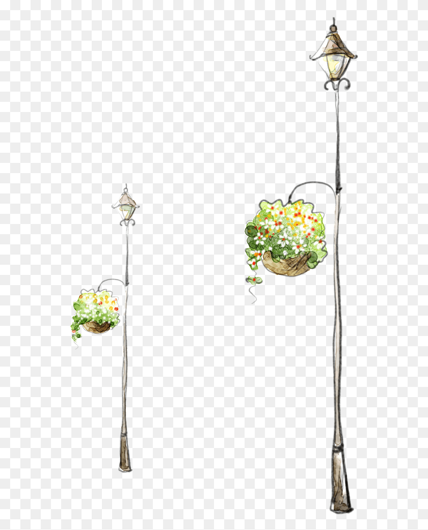 568x981 Hand Painted Street Lamp Basket Street Light, Plant, Flower, Blossom HD PNG Download