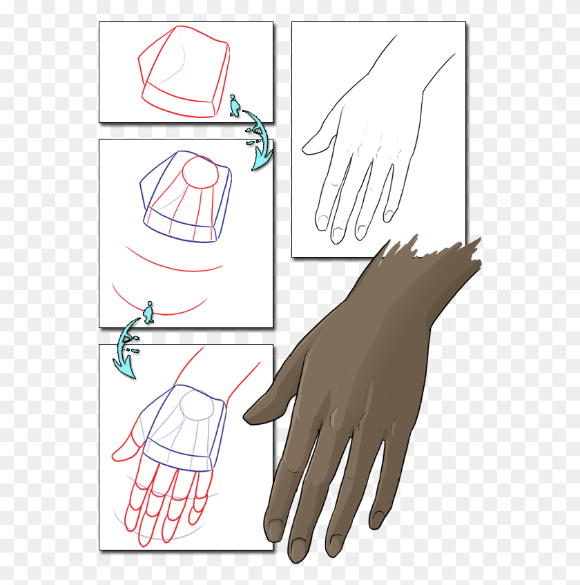 Hand Reference Anatomy Reference Learn To Draw How Drawing, Clothing, Apparel, Stain Descargar HD PNG