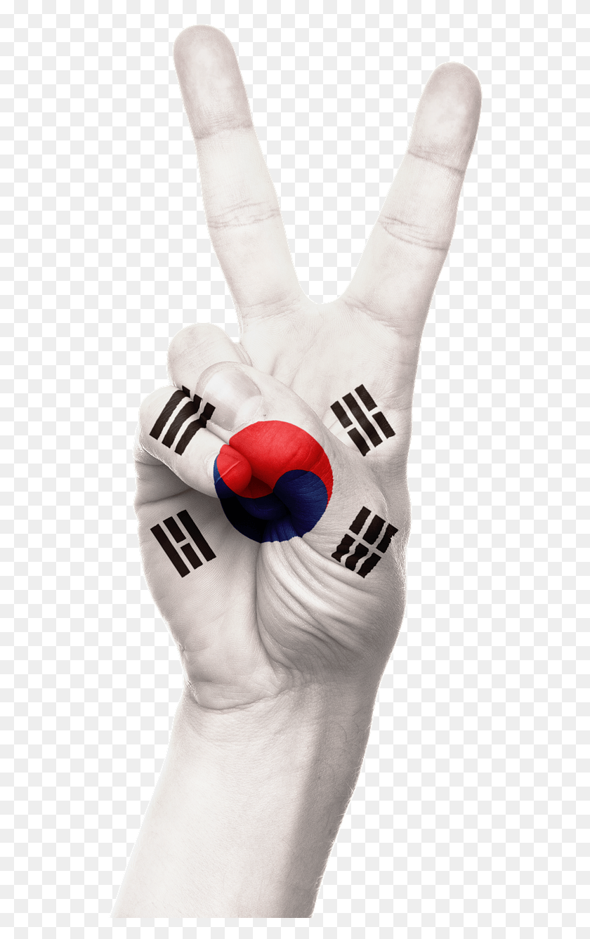 537x1277 Hand South Korea Flag South Korea Flag, Clothing, Apparel, Person HD PNG Download