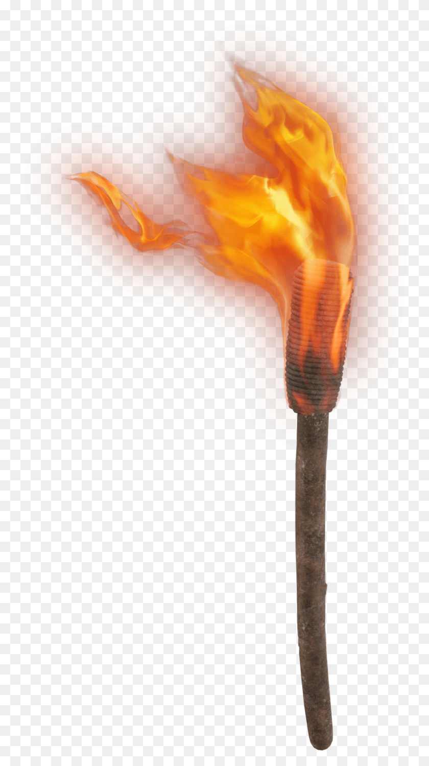 920x1698 Hand Torch Fire Hand, Flame, Light, Goggles HD PNG Download