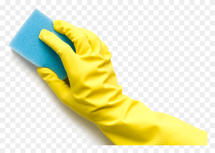 800x552 Hand With Sponge, Clothing, Apparel, Person HD PNG Download