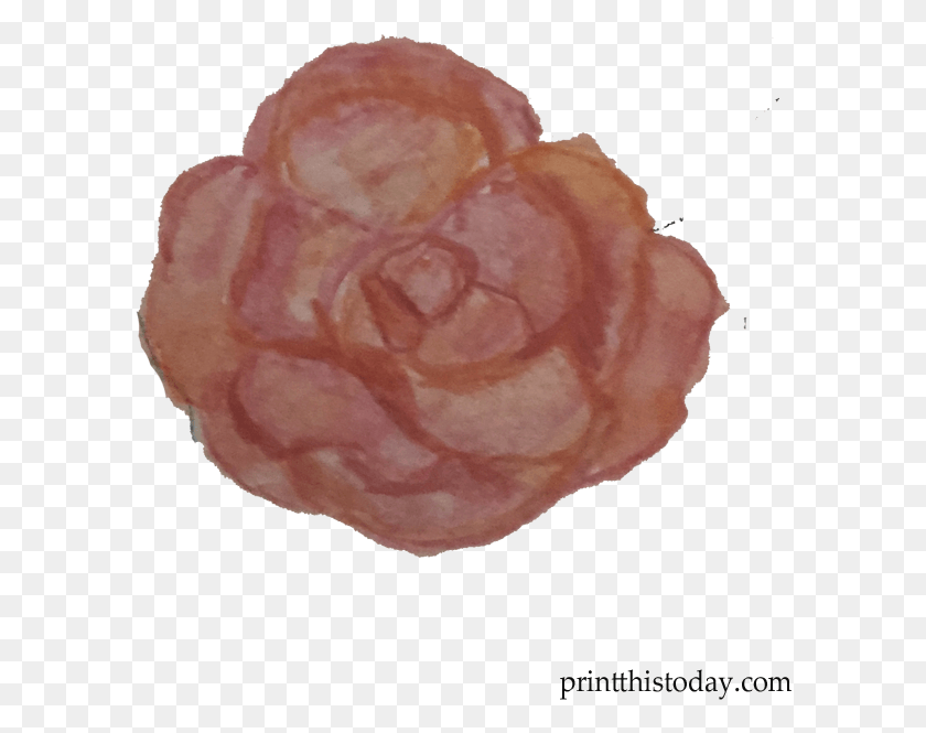 596x605 Handmade Orange Rose Garden Roses, Mineral, Crystal, Plant Descargar Hd Png