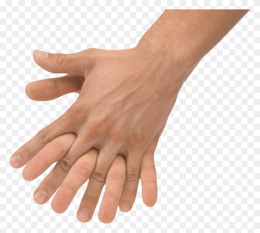 1788x1593 Hands Hands Holding No Background, Hand, Person, Human HD PNG Download