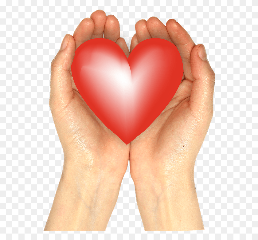 563x721 Hands Heart Hand Red Feelings Love Broken Heart Mo Com, Person, Human, Finger HD PNG Download