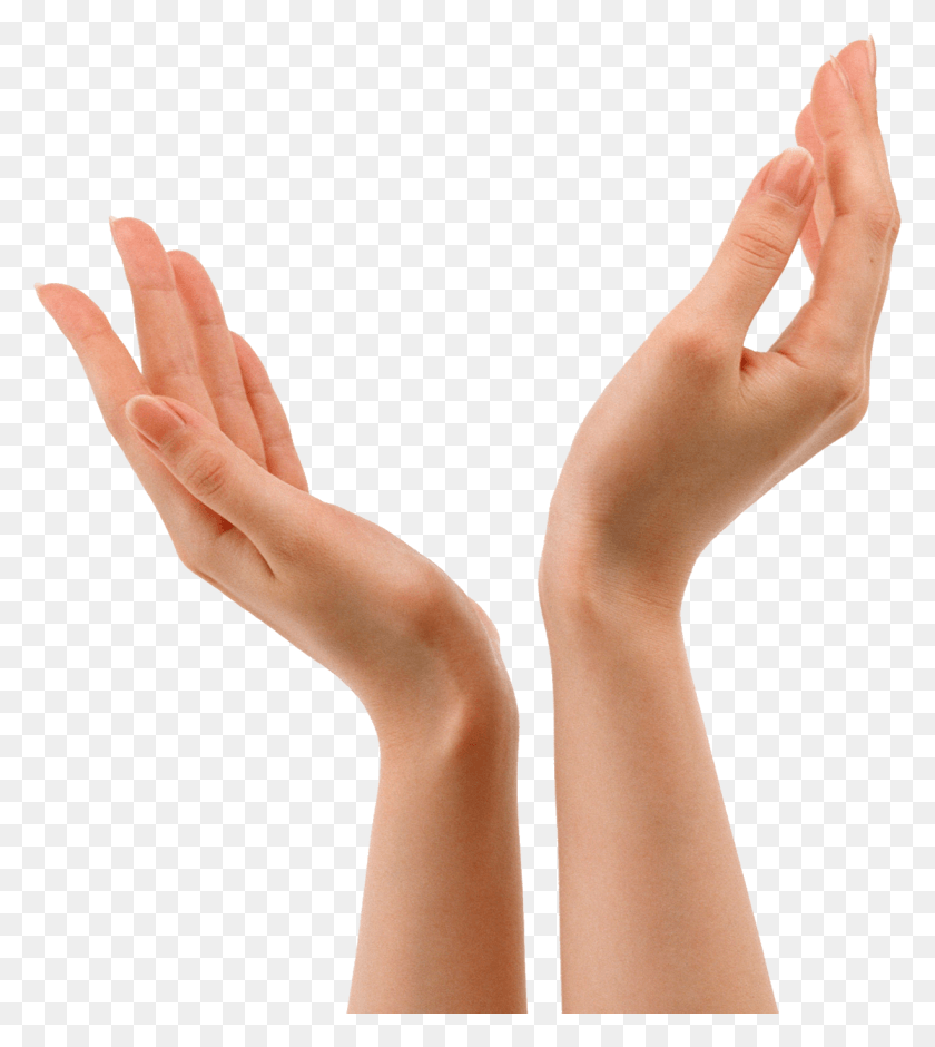 1225x1383 Hands Image Transparent Hands, Hand, Wrist, Person HD PNG Download