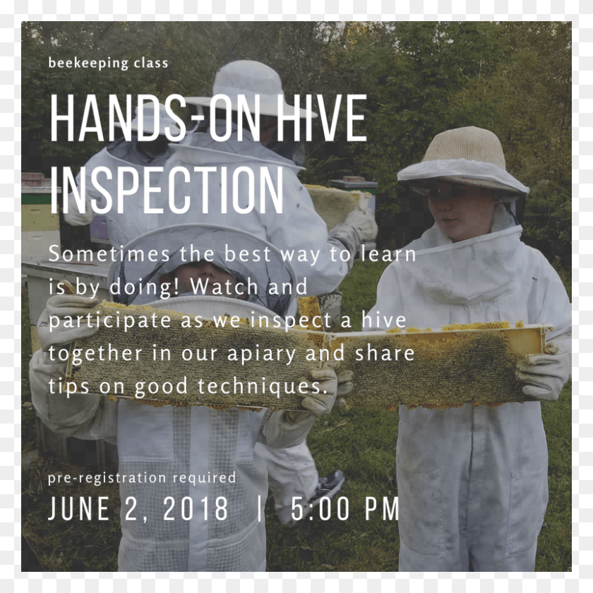 800x800 Hands On Hive Inspection June Masterson39s Garden Center, Person, Human, Hat HD PNG Download