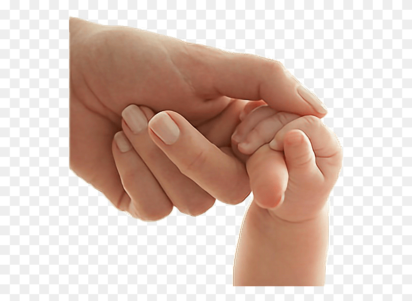 558x554 Hands Sticker Mother Baby, Hand, Person, Human HD PNG Download