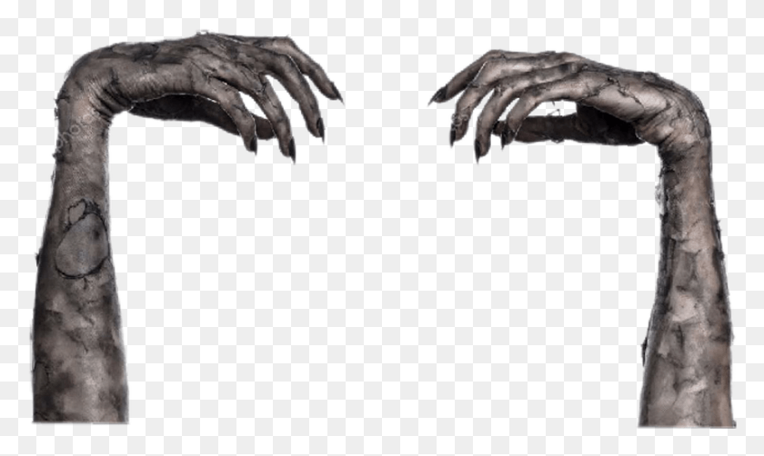 858x487 Hands Zombie Makeup Arms Skin Dead Death Horror Scary Arms, Hand, Person, Human HD PNG Download