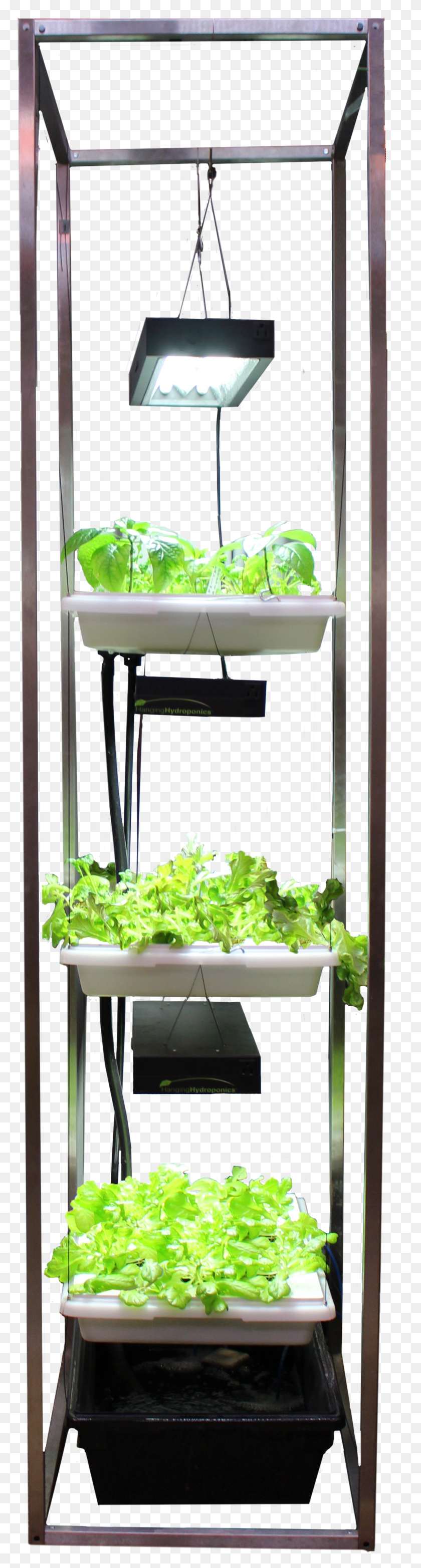 1134x4463 Hanging Hydroponics Leaf Vegetable HD PNG Download