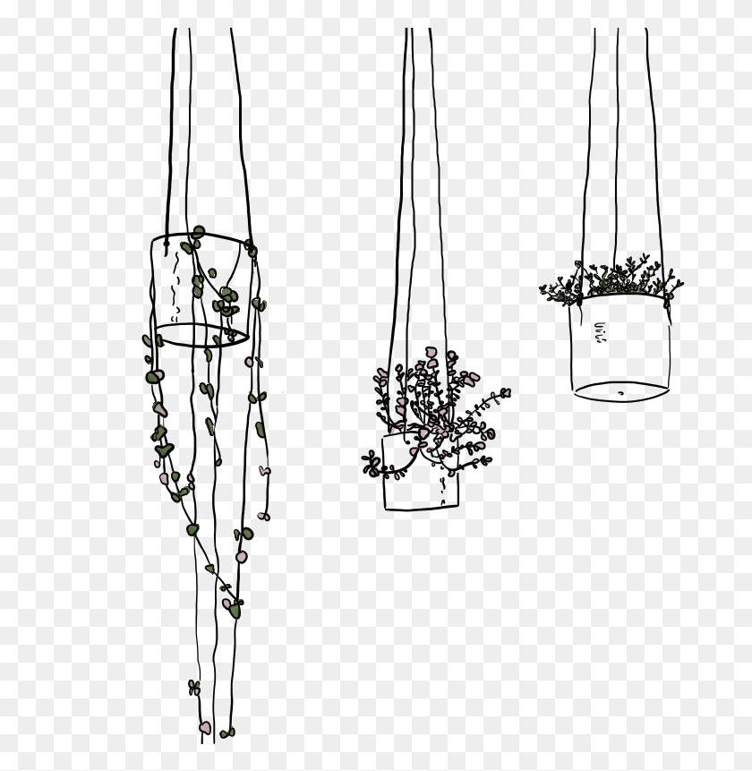 690x801 Hanging Plants Line Drawing Line Art, Light, Invertebrate, Animal Descargar Hd Png
