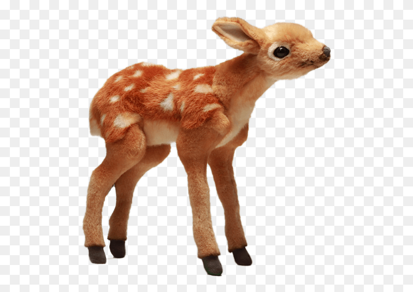510x535 Hansa Soft Toys Via Toby Amp Roo Deer Toy, Mammal, Animal, Dog HD PNG Download