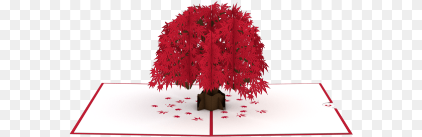 566x274 Happy Birthday Japanese Maple Tree Pop Up, Leaf, Plant PNG