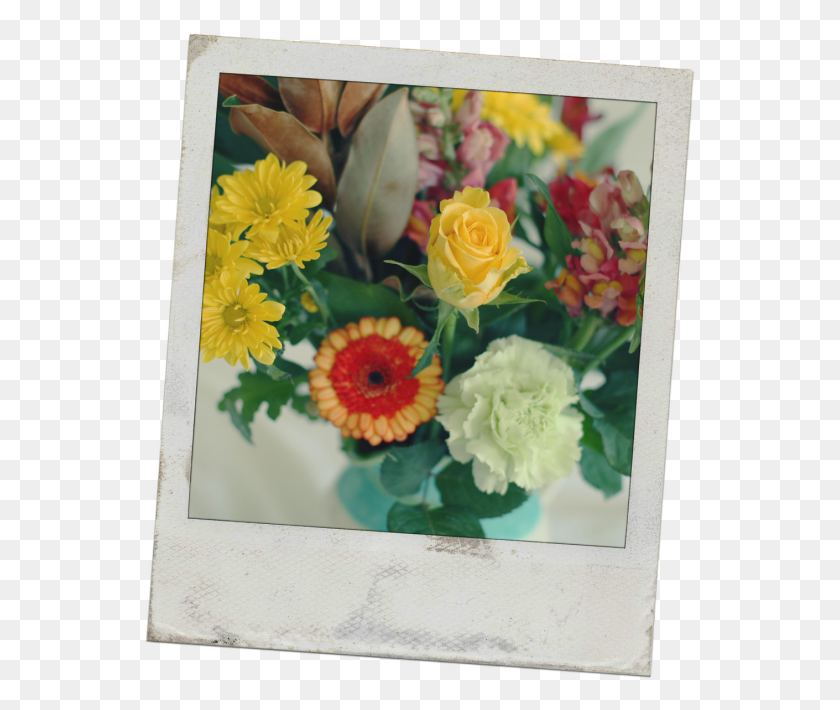 553x650 Descargar Png Feliz Viernes Todas Las Flores Polaroid Bouquet, Graphics, Diseño Floral Hd Png