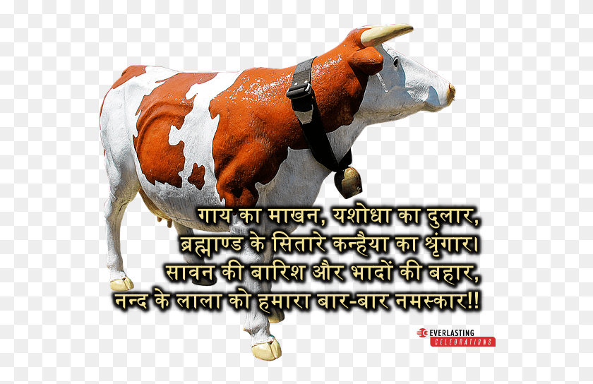 564x484 Happy Janmashtami In Hindi Messages Cattle, Cow, Mammal, Animal HD PNG Download