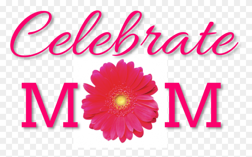 932x555 Descargar Png Feliz Día De Las Madres 2016, Día De La Madre, Texto, Dahlia, Flor Hd Png