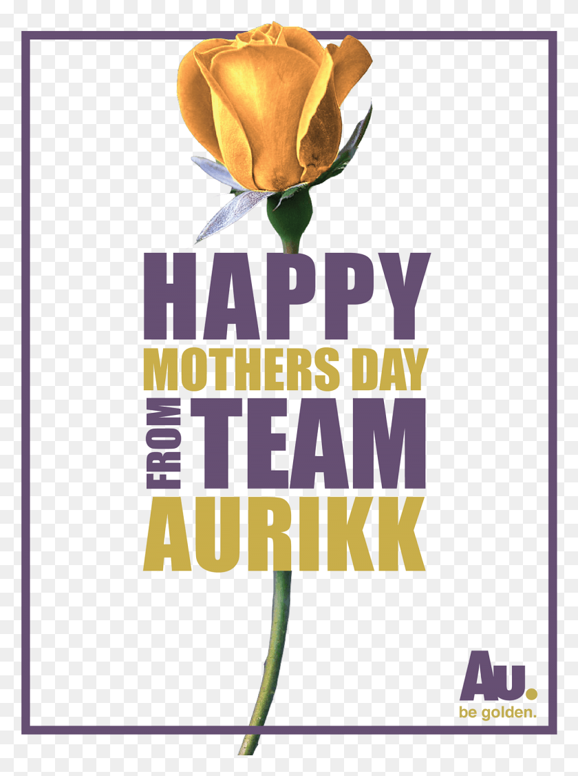 1300x1778 Happy Mothers Day A Design From Team Aurikk That39s Beach Party Flyer, Plant, Rose, Flower HD PNG Download