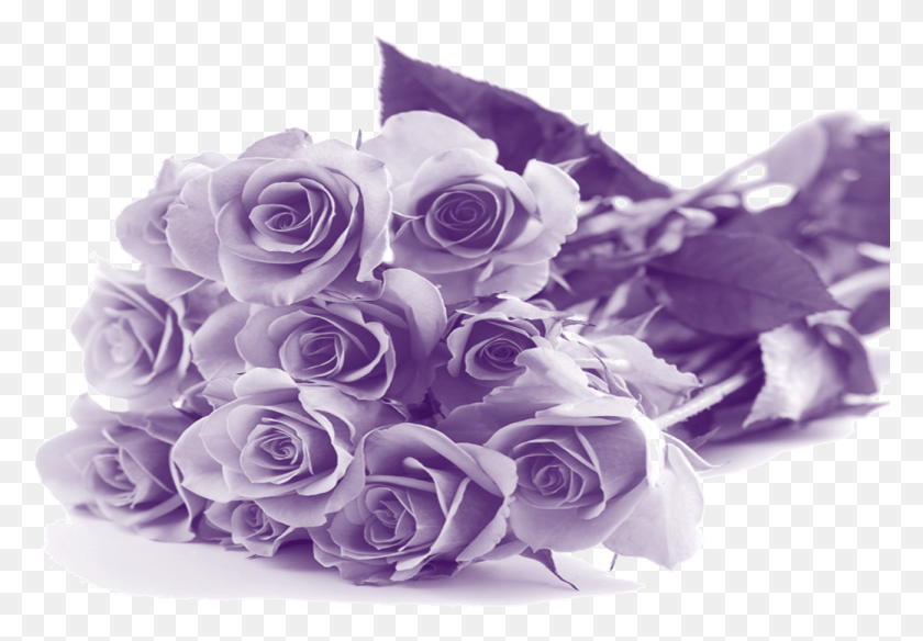 1039x698 Descargar Png Feliz Día De La Madre Flores Púrpuras Día De La Madre Flores, Planta, Flor, Flor Hd Png