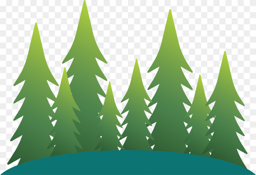 2310x1584 Happy National Forest Week Save The Boundary Waters Language, Green, Plant, Tree, Leaf PNG