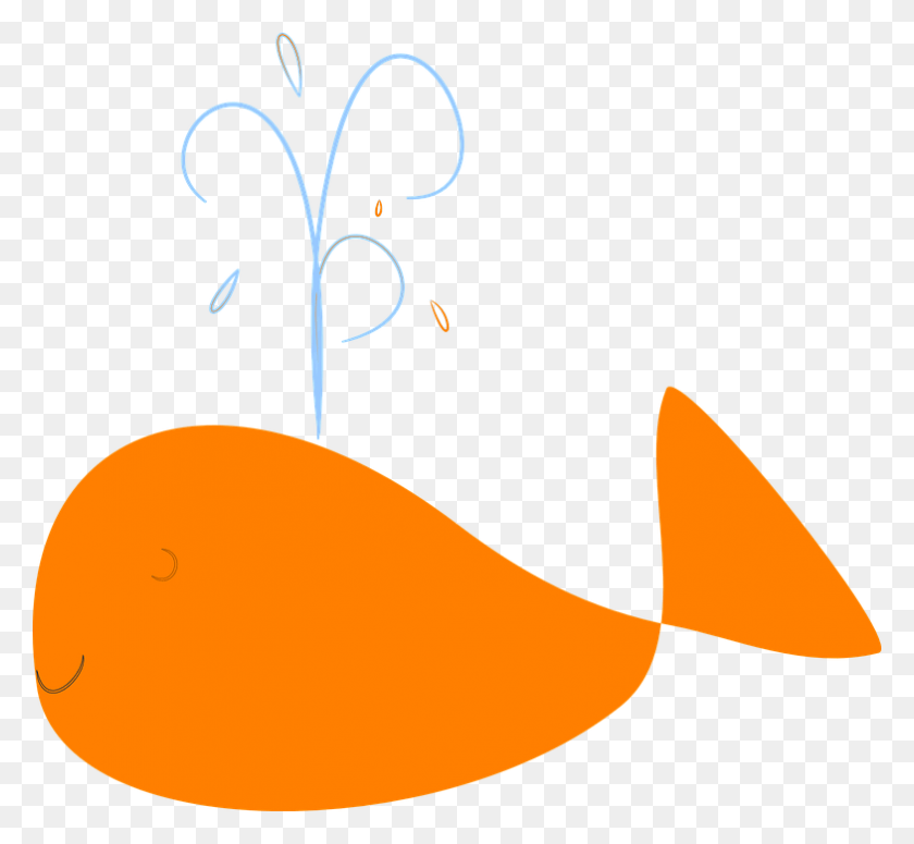 785x720 Happy Splash Free Vector Graphic On Pixabay Orange Whale, Plant, Food, Vegetable HD PNG Download