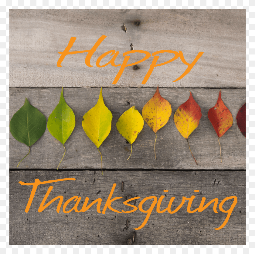 2294x2293 Happy Thanksgiving HD PNG Download