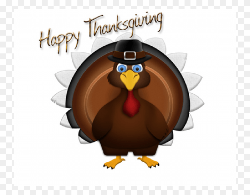 747x597 Happy Thanksgiving From The Uk, Bird, Animal, Fowl HD PNG Download