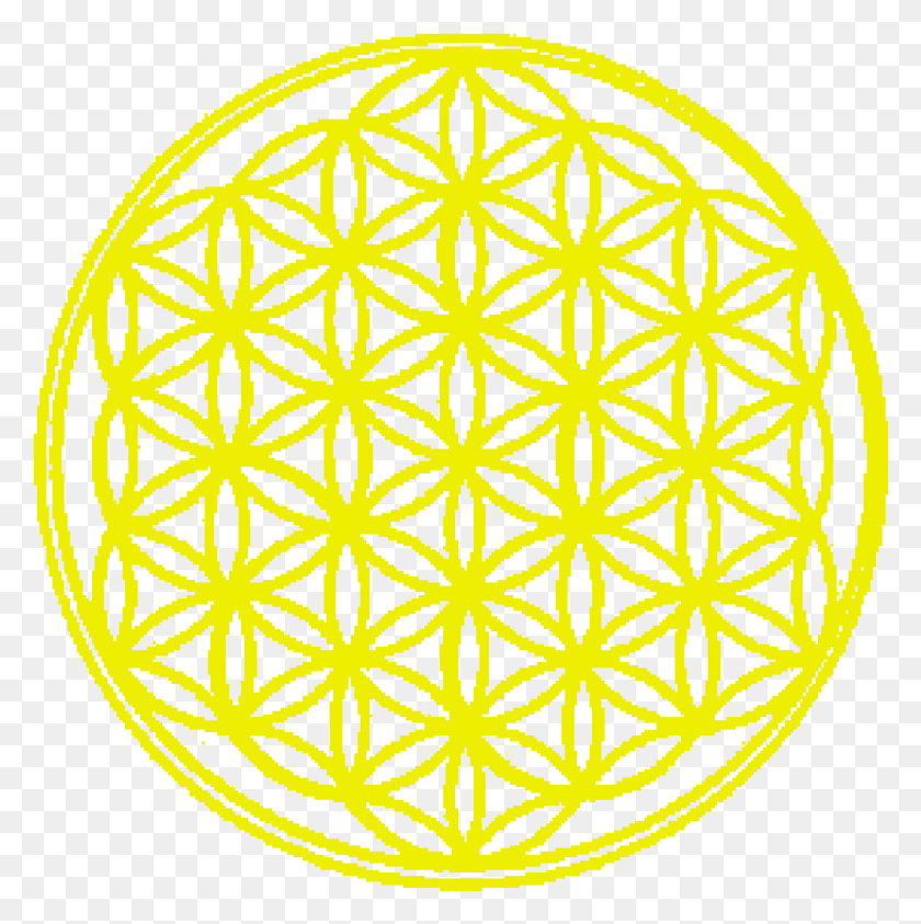 1011x1015 Hardwick Flower Of Life Yellow1 Flower Of Life Wood, Pattern, Ornament, Rug HD PNG Download