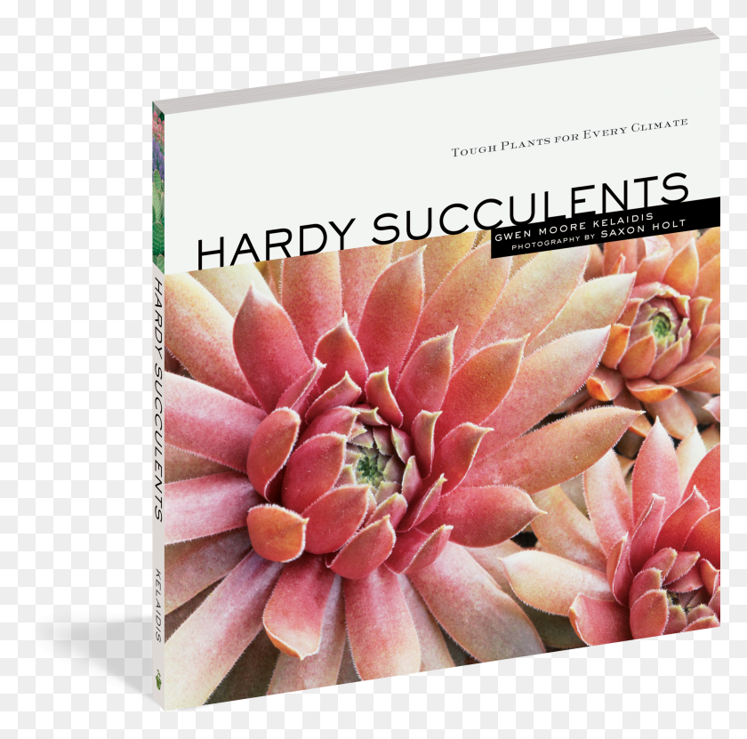 2341x2315 Hardy Succulents Tough Plants For Every Climate HD PNG Download