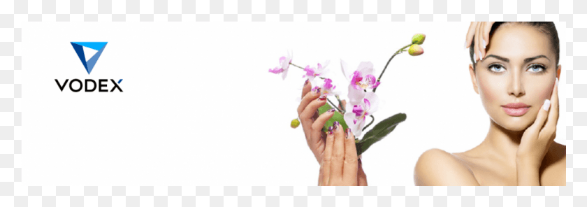 1001x303 Harmful Fumes And Dusts In Salons Moth Orchid, Plant, Person, Human HD PNG Download