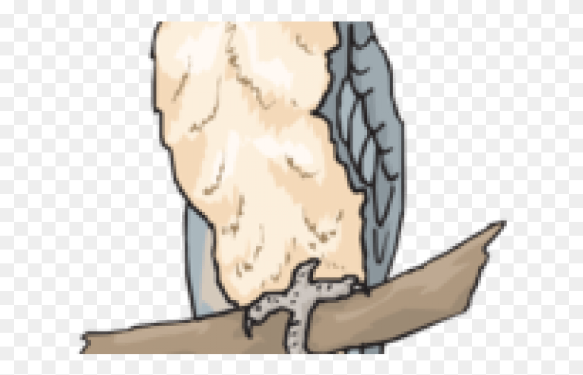 621x481 Harpy Eagle Clipart Harpi Illustration, Construction Crane, Weapon, Weaponry HD PNG Download