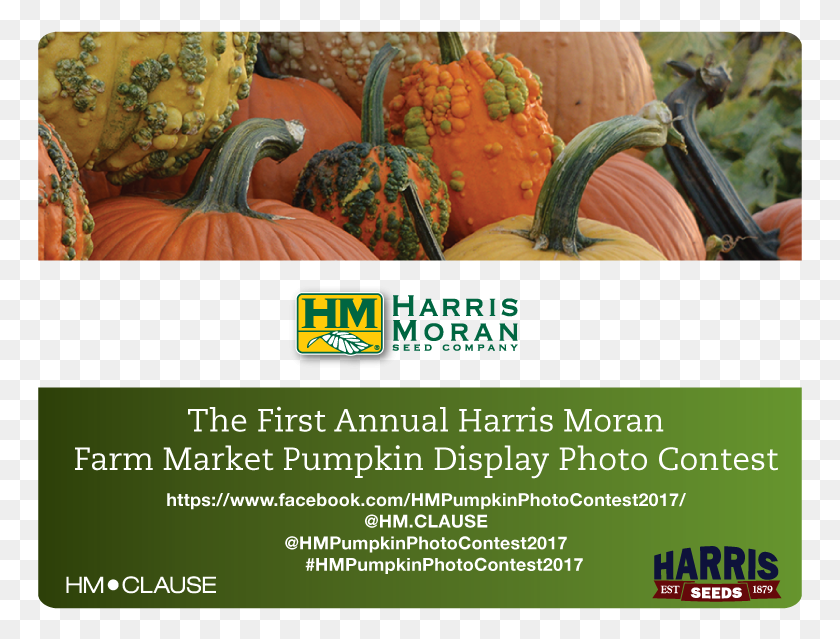 765x579 Harris Moran In Partnership With Harris Seeds Are Proud Harris Moran, Plant, Produce, Food HD PNG Download