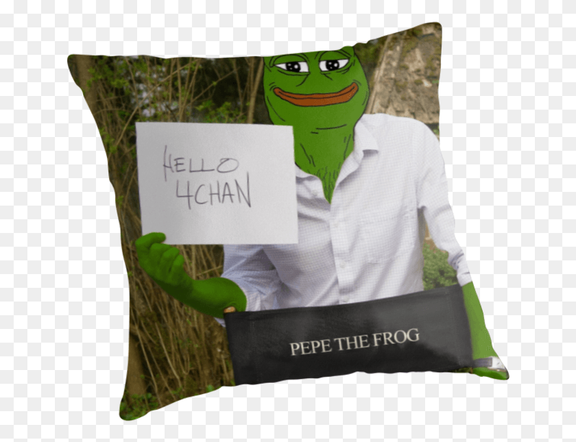 649x585 Harrison 39pepe39 Ford The Smug Frog Cushion, Clothing, Apparel, Person HD PNG Download