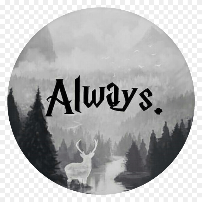 951x951 Harry Potter Always Popsocket, Nature, Outdoors, Person HD PNG Download