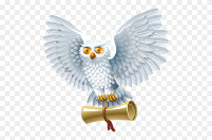 498x494 Harry Potter Y El Príncipe Mestizo De Harry Potter, Águila, Pájaro, Animal Hd Png
