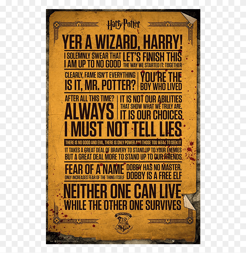 528x801 Harry Potter Quotes Poster Not Our Abilities But Our Choices, Advertisement, Flyer, Paper HD PNG Download