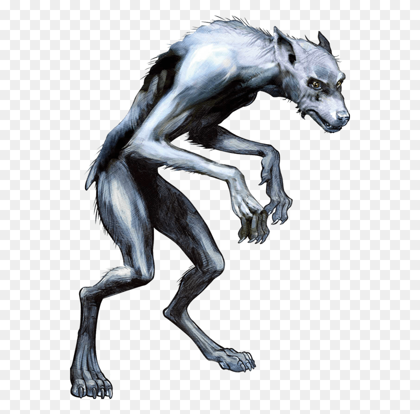 560x768 Harry Potter Werewolf Drawing, Horse, Mammal, Animal HD PNG Download