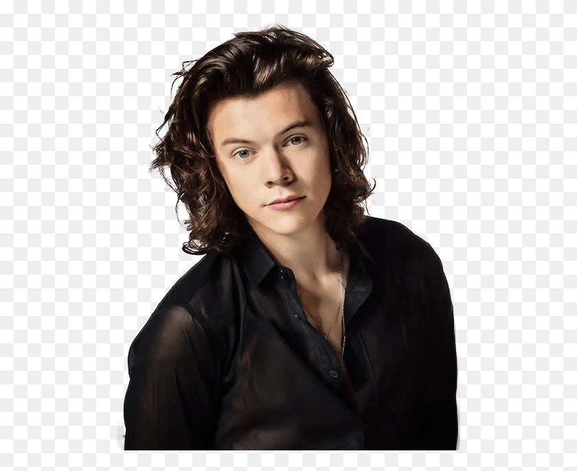 501x626 Harry Styles Harry Styles 2016 Hot, Clothing, Apparel, Person HD PNG Download