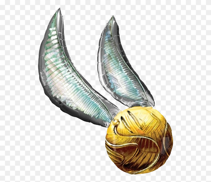 538x665 Harrypotter Goldensnitch Quidditch Snitch Harry Potter, Gold, Person, Human HD PNG Download