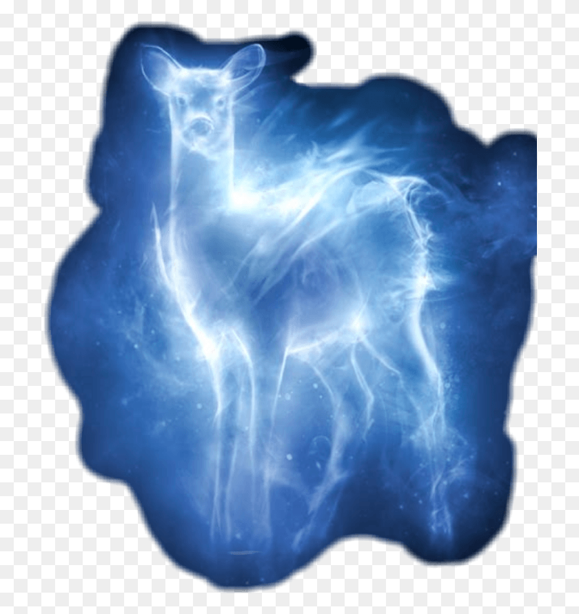 718x831 Harrypotter Patronus Deer Snape Lillypotter Always Doe Patronus, X-ray, Medical Imaging X-ray Film, Ct Scan HD PNG Download
