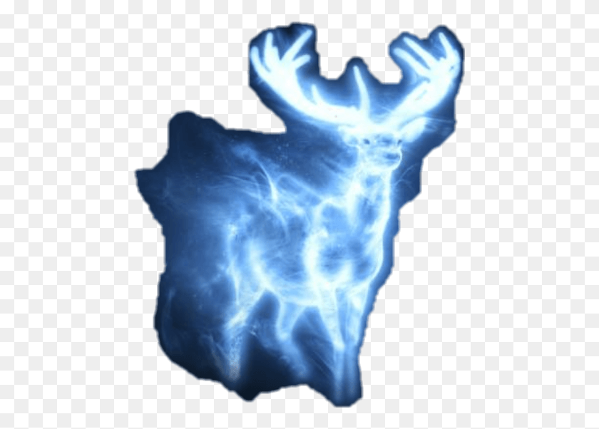 465x542 Harrypotter Patronus Deer Stag And Doe Patronus, X-ray, Ct Scan, Medical Imaging X-ray Film HD PNG Download