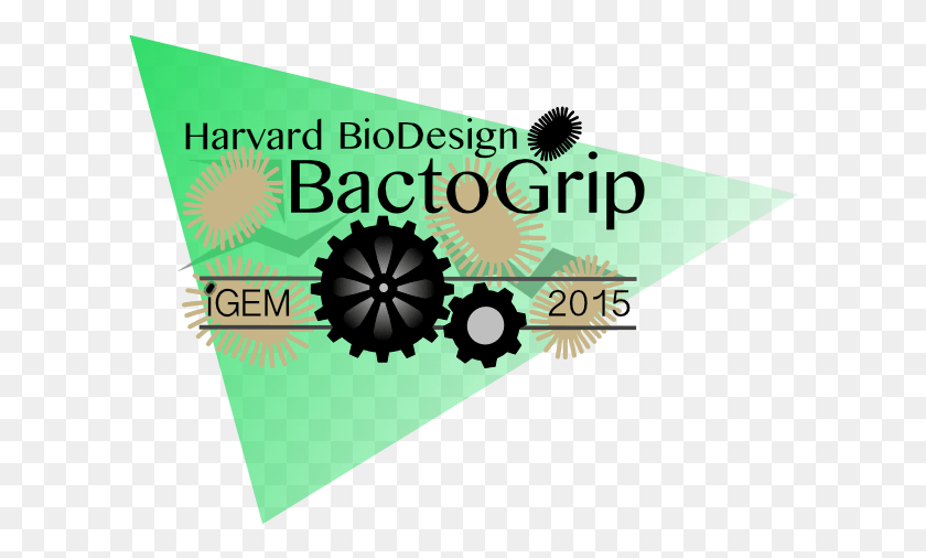 608x446 Harvard Logo Web Design, Text, Graphics HD PNG Download
