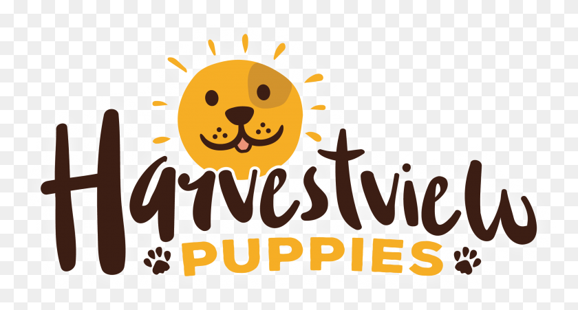 2563x1288 Harvestview Puppies Harvestview Puppies Cartoon, Text, Food, Outdoors HD PNG Download