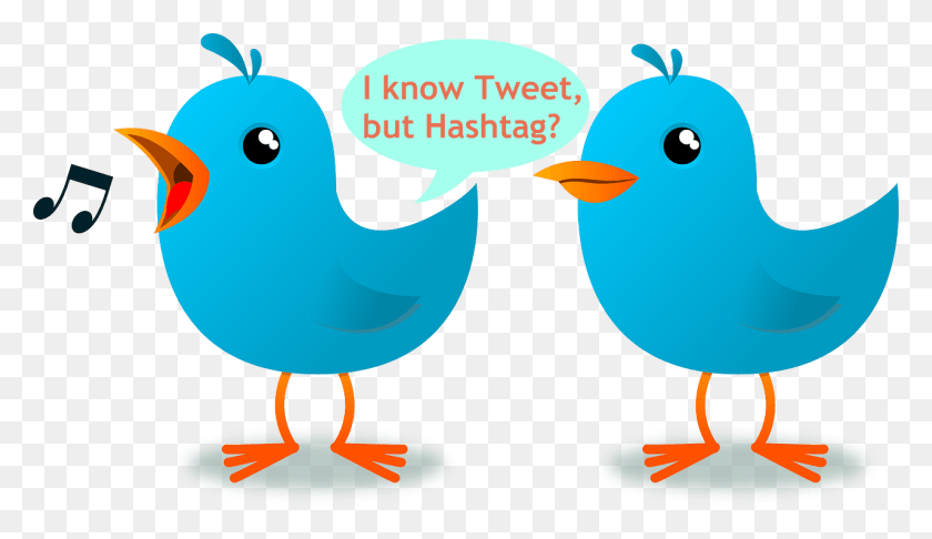 1280x700 Hashtag Vector Art Two Little Blue Birds, Bird, Animal, Fowl HD PNG Download