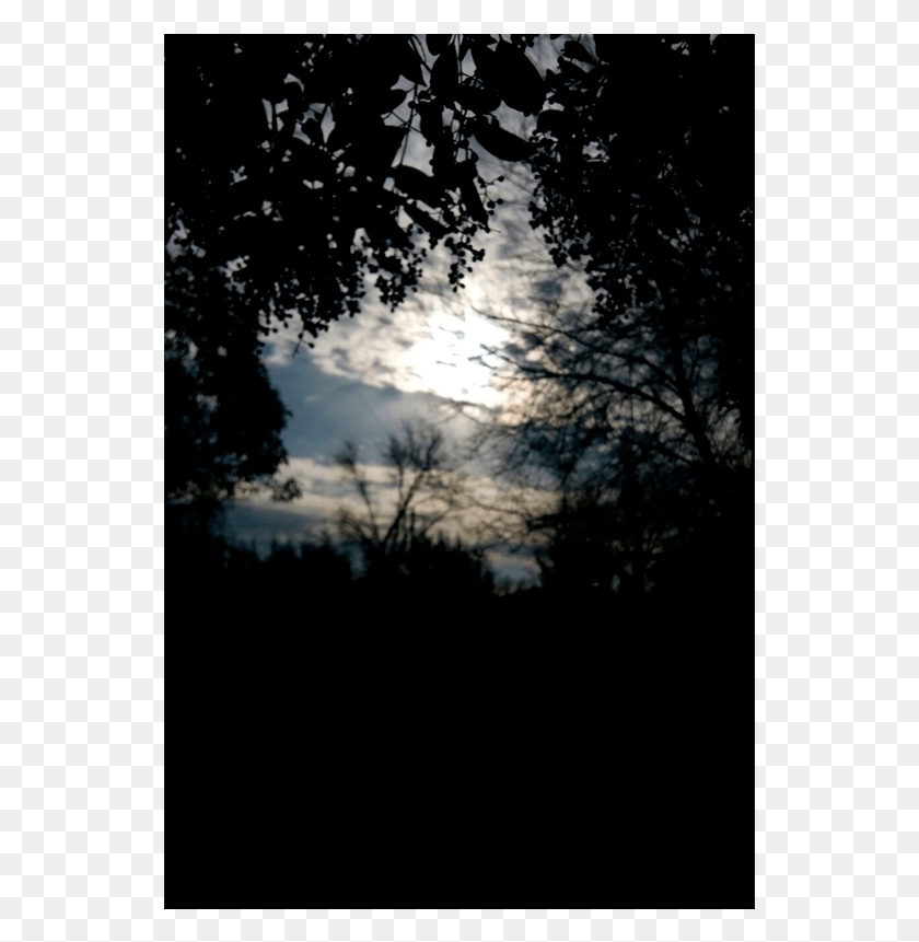 541x801 Hasta Tenue Entre Nubes La Luz Del Sol Es Energa Moonlight, Nature, Outdoors HD PNG Download