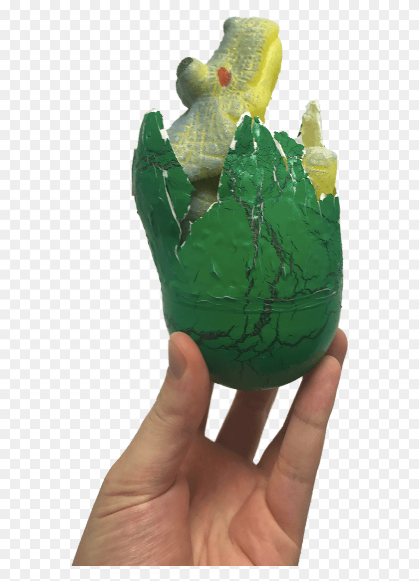 562x1104 Hatching Egg Triceratops Nurchums Dino Hatch Egg, Person, Human, Plant HD PNG Download